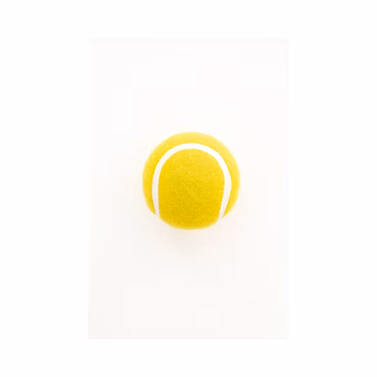 프로모션 애완 동물 가져오기 장난감 테니스 공